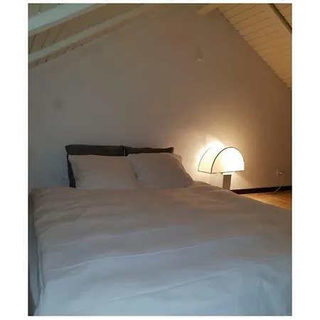 Maison Jean-jacques Rousseau Apartmán Biel